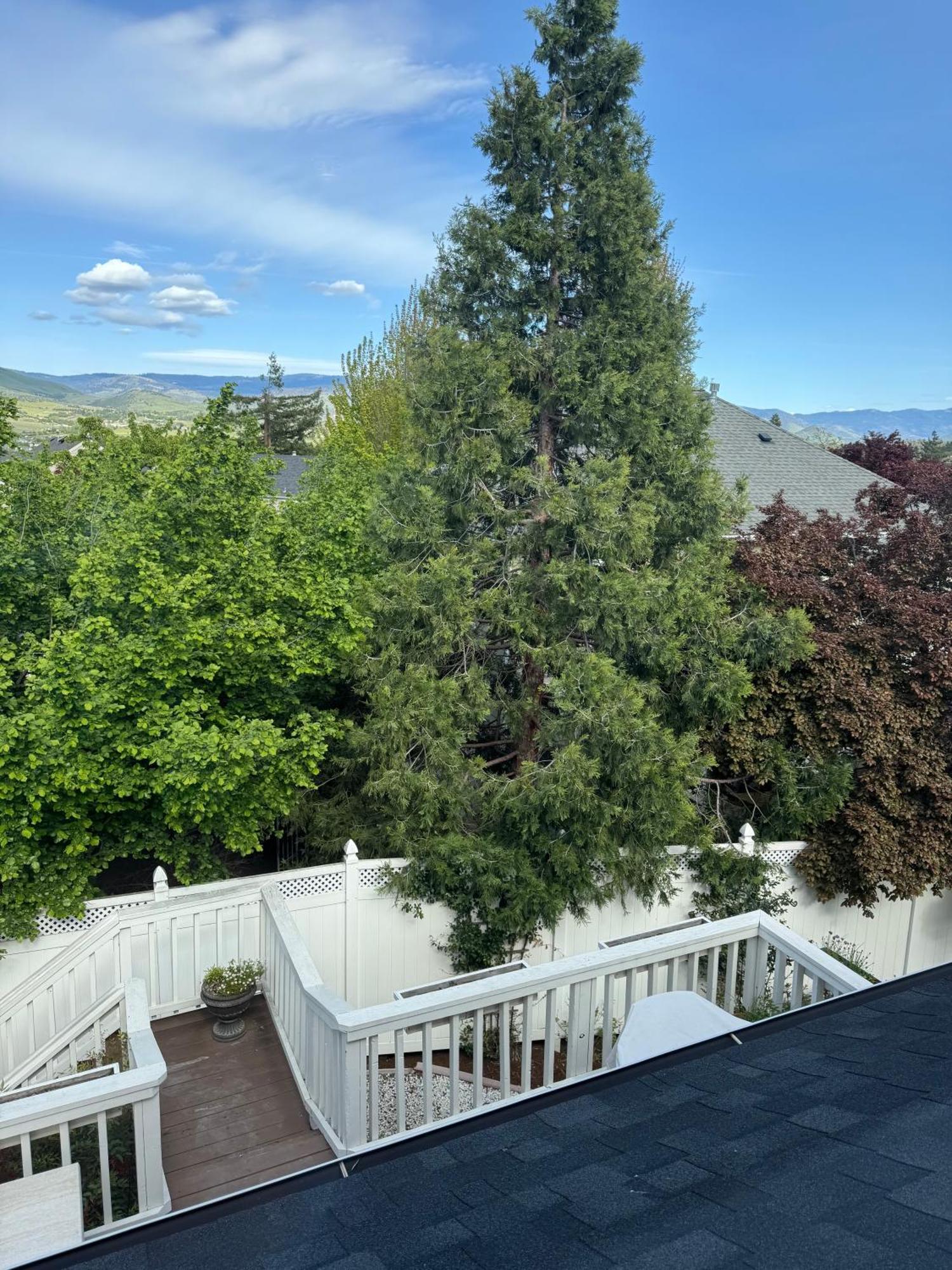 Bayberry Inn B&B And Oregon Wellness Retreat Ashland Bagian luar foto